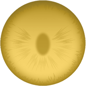 #15