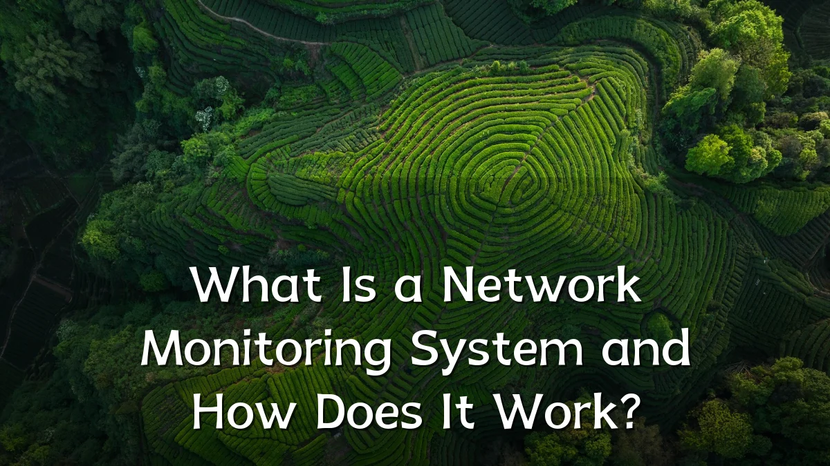 What Is a Network Monitoring System and How Does It Work?