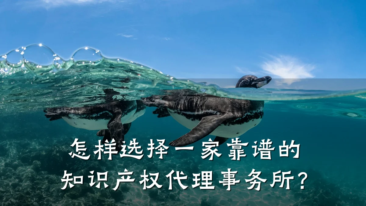 怎样选择一家靠谱的知识产权代理事务所?