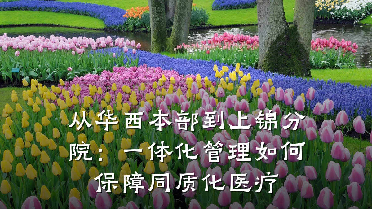 从华西本部到上锦分院:一体化管理如何保障同质化医疗