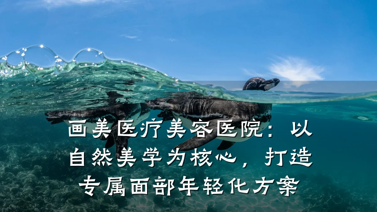 画美医疗美容医院:以自然美学为核心,打造专属面部年轻化方案