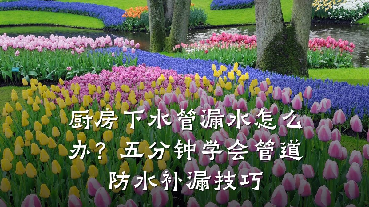 厨房下水管漏水怎么办?五分钟学会管道防水补漏技巧