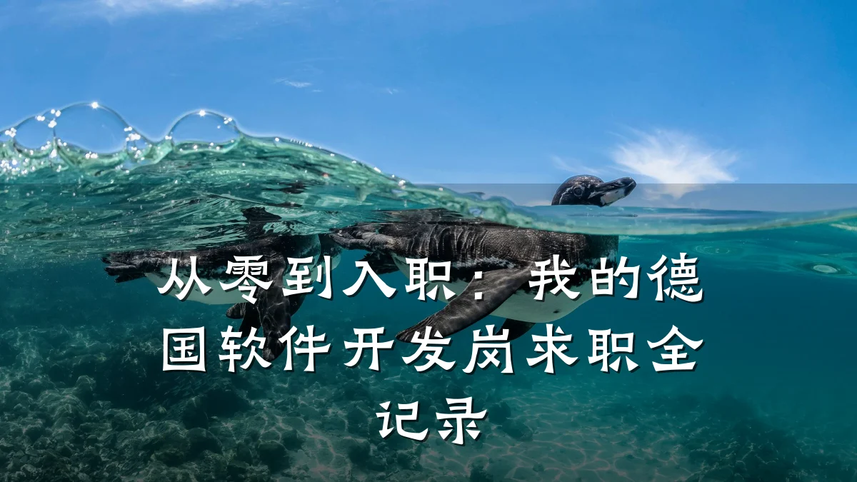从零到入职:我的德国软件开发岗求职全记录