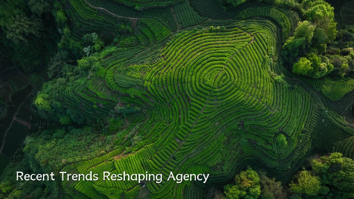 Recent Trends Reshaping Agency