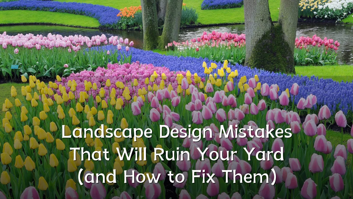 Landscape Design Mistakes That Will Ruin Your Yard (and How to Fix Them)