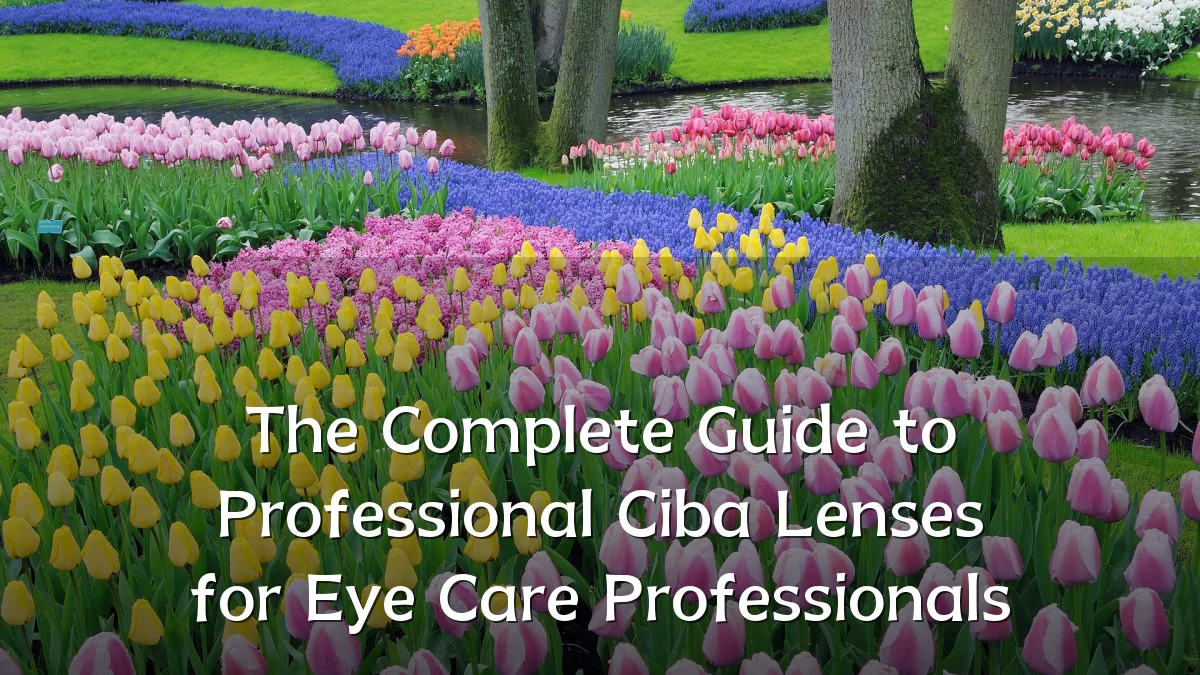 The Complete Guide to Professional Ciba Lenses for Eye Care Professionals