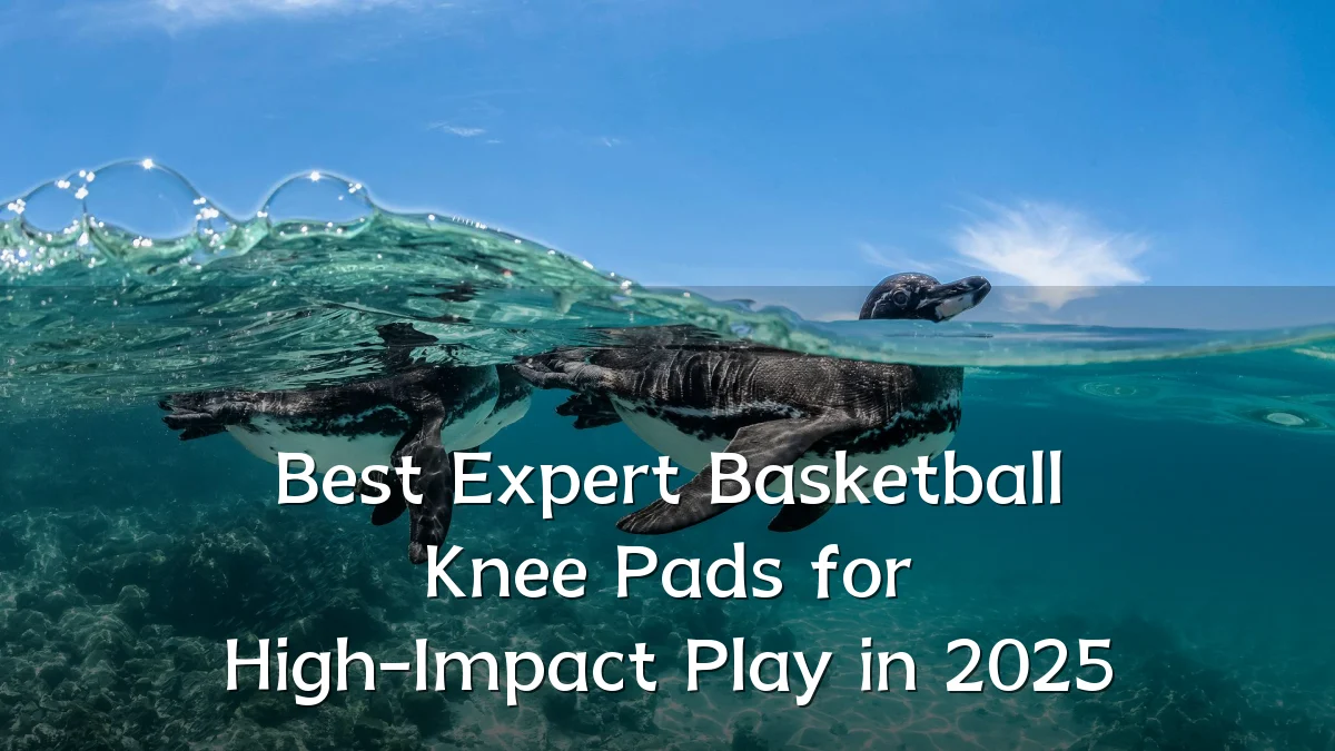 Best Expert Basketball Knee Pads for High-Impact Play in 2025