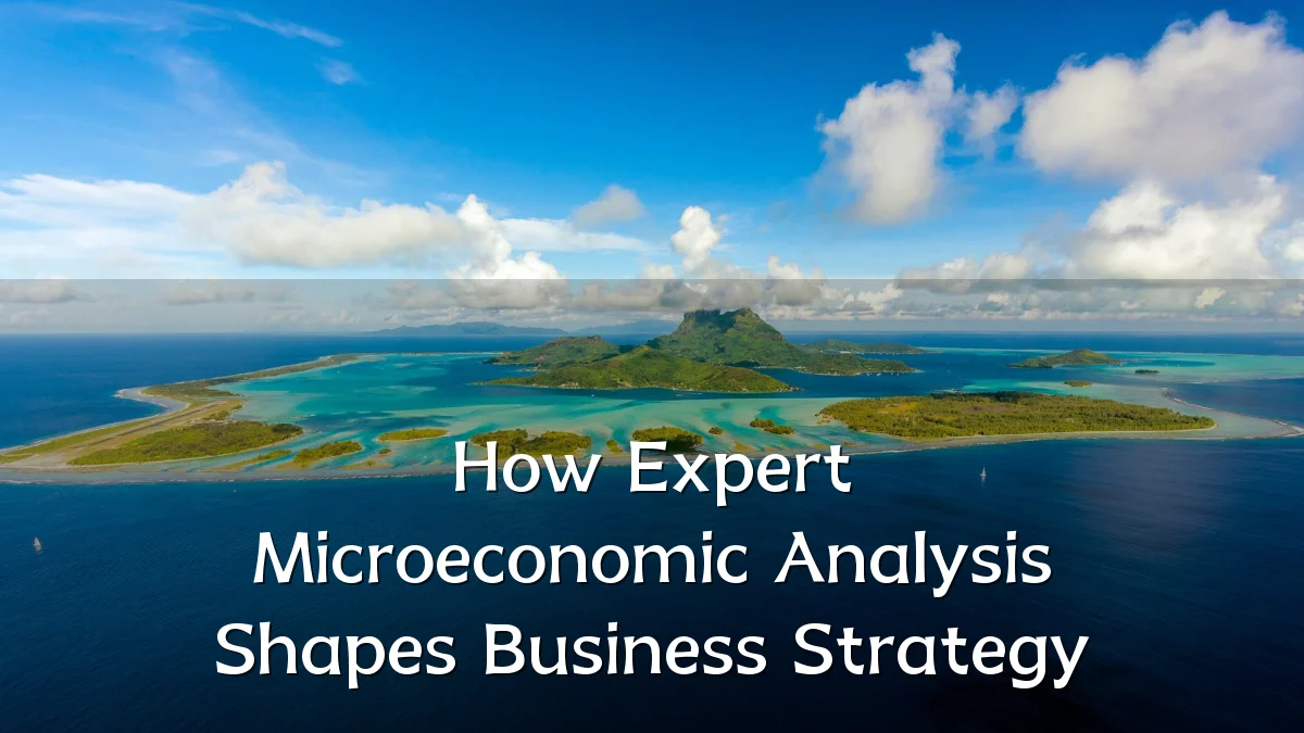 How Expert Microeconomic Analysis Shapes Business Strategy