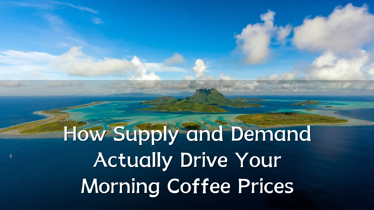 How Supply and Demand Actually Drive Your Morning Coffee Prices