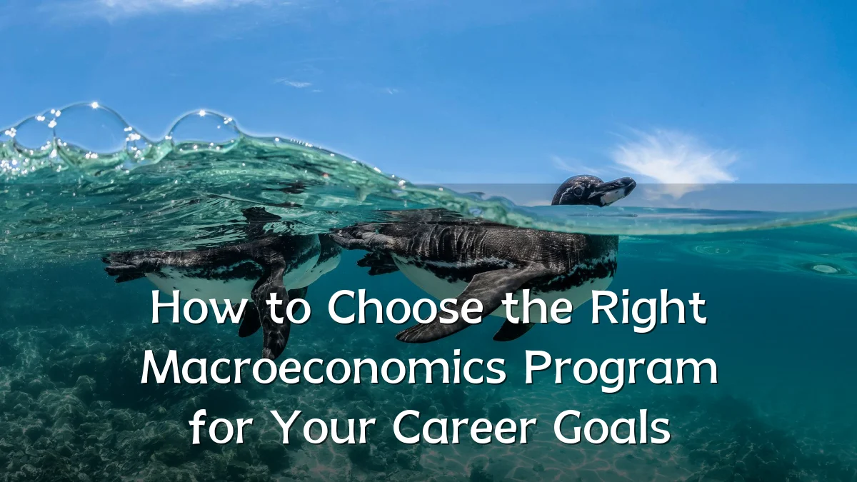 How to Choose the Right Macroeconomics Program for Your Career Goals