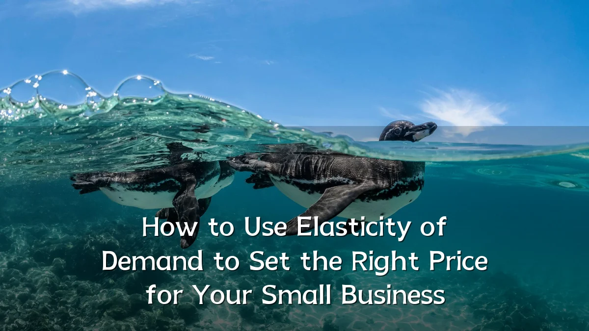 How to Use Elasticity of Demand to Set the Right Price for Your Small Business