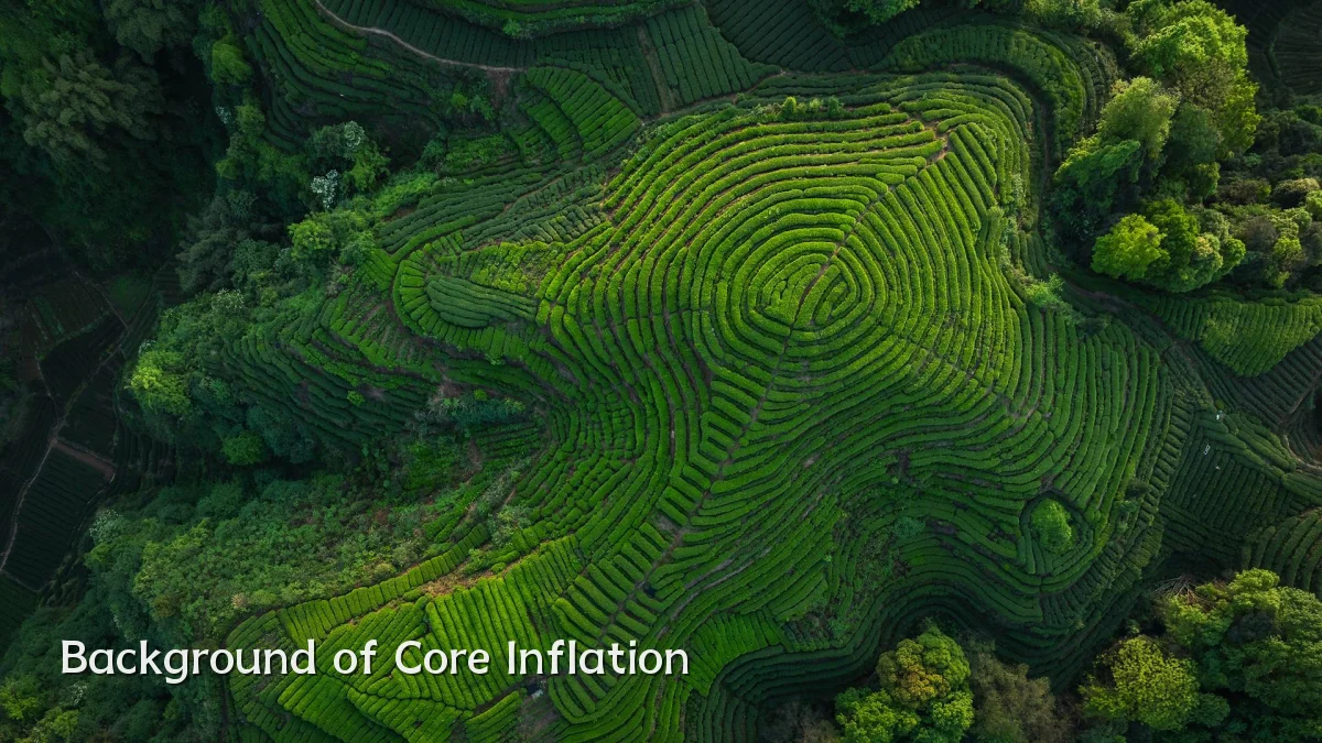 Background of Core Inflation