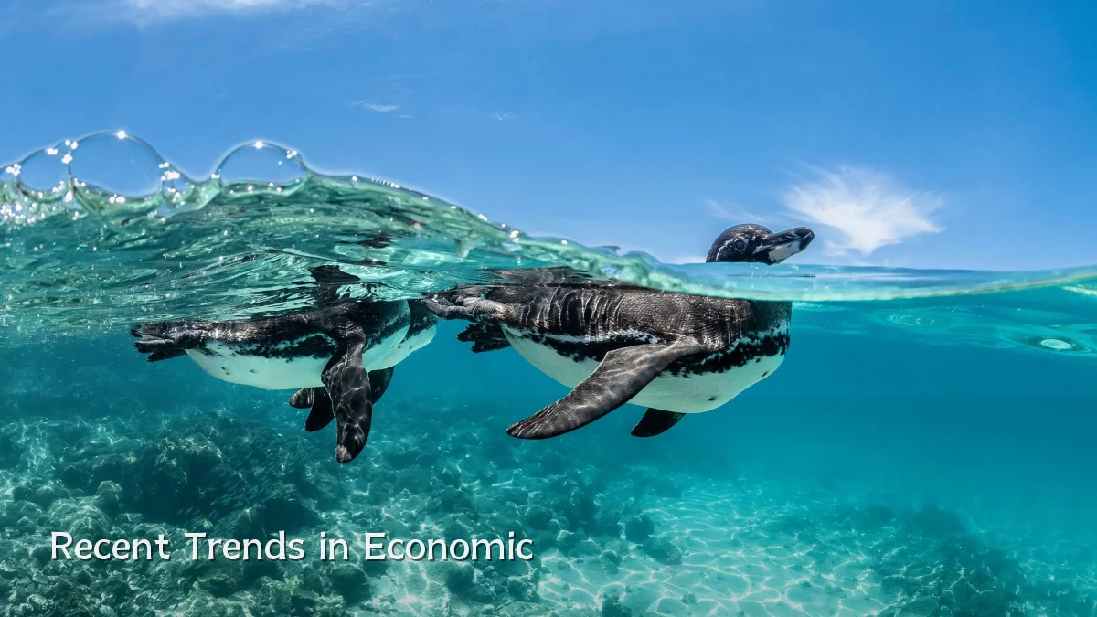 Recent Trends in Economic