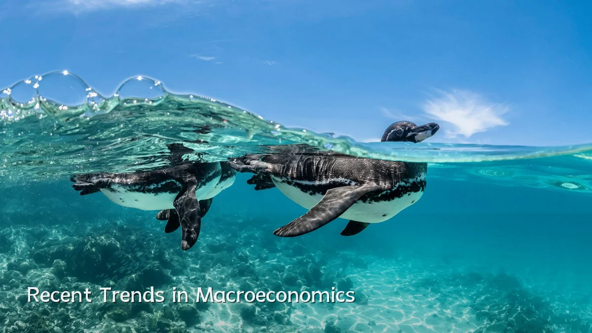 Recent Trends in Macroeconomics