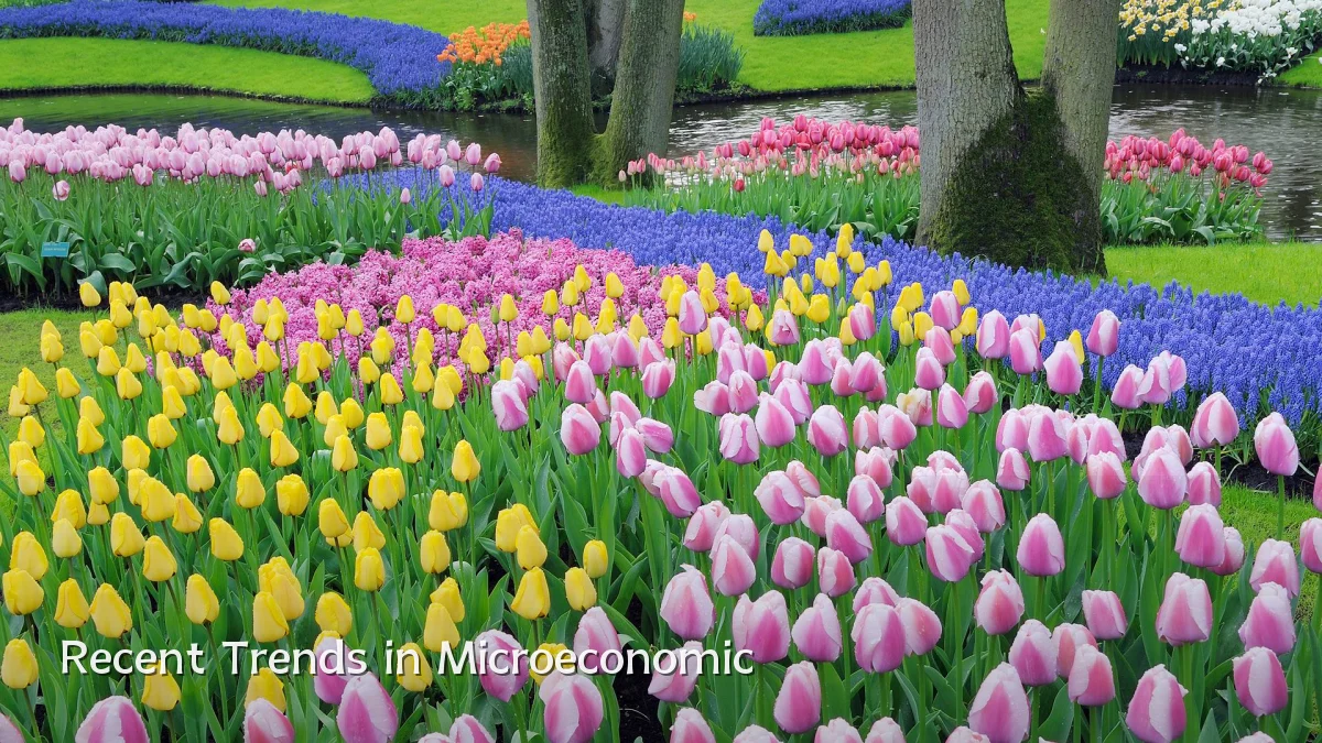 Recent Trends in Microeconomic