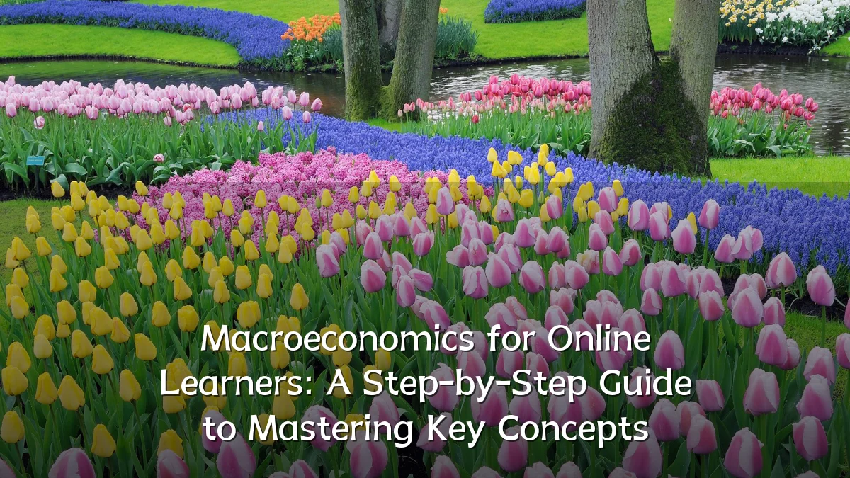 Macroeconomics for Online Learners: A Step-by-Step Guide to Mastering Key Concepts