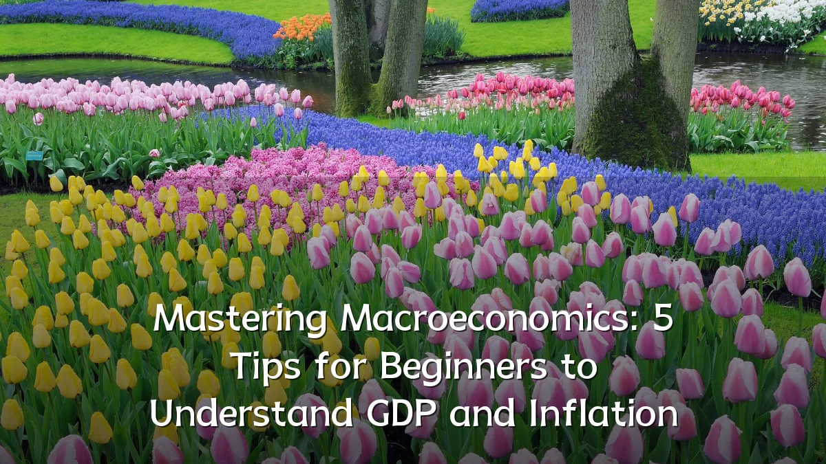 Mastering Macroeconomics: 5 Tips for Beginners to Understand GDP and Inflation