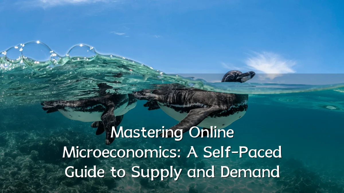 Mastering Online Microeconomics: A Self-Paced Guide to Supply and Demand