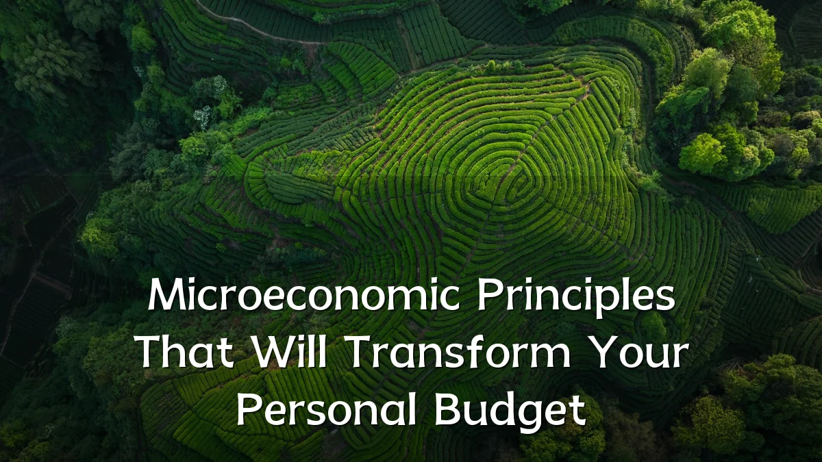 Microeconomic Principles That Will Transform Your Personal Budget