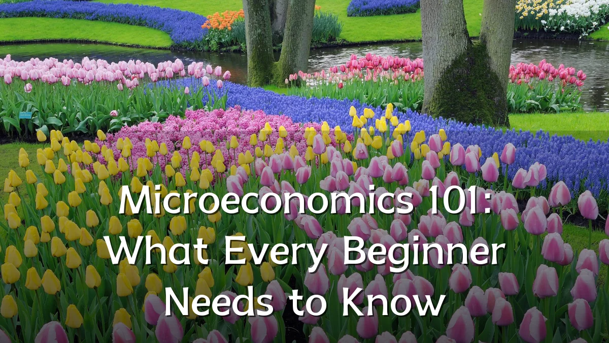 Microeconomics 101: What Every Beginner Needs to Know