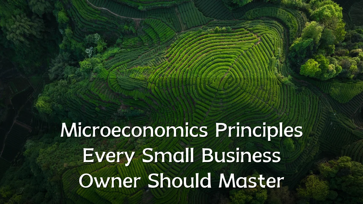 Microeconomics Principles Every Small Business Owner Should Master