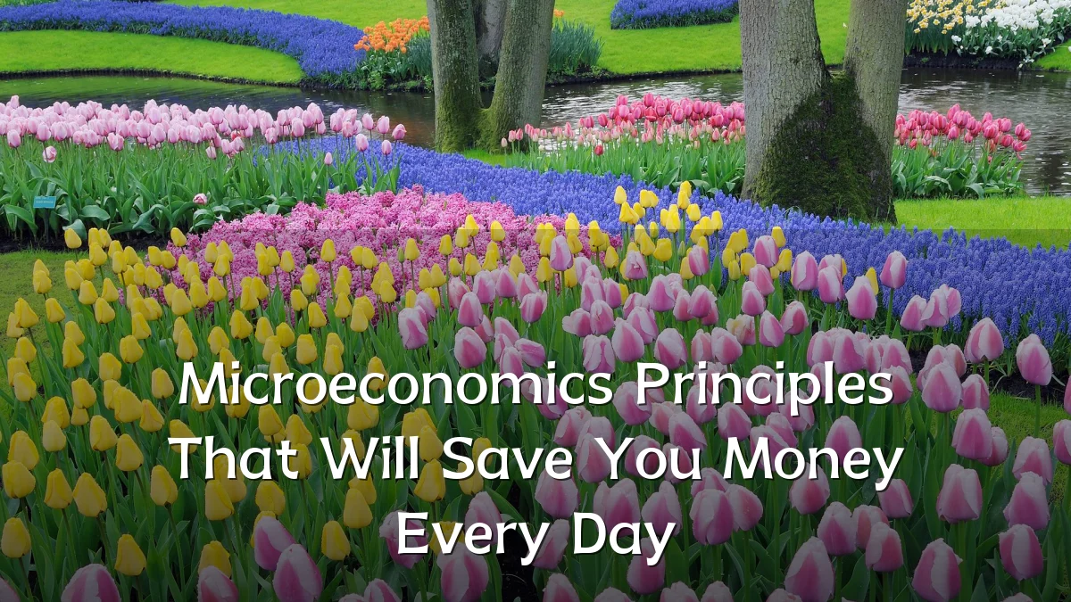 Microeconomics Principles That Will Save You Money Every Day