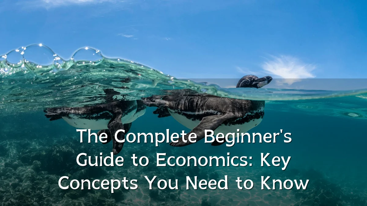 The Complete Beginner's Guide to Economics: Key Concepts You Need to Know