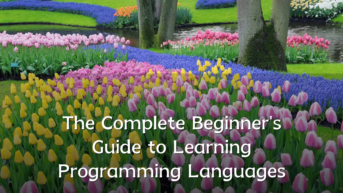The Complete Beginner's Guide to Learning Programming Languages