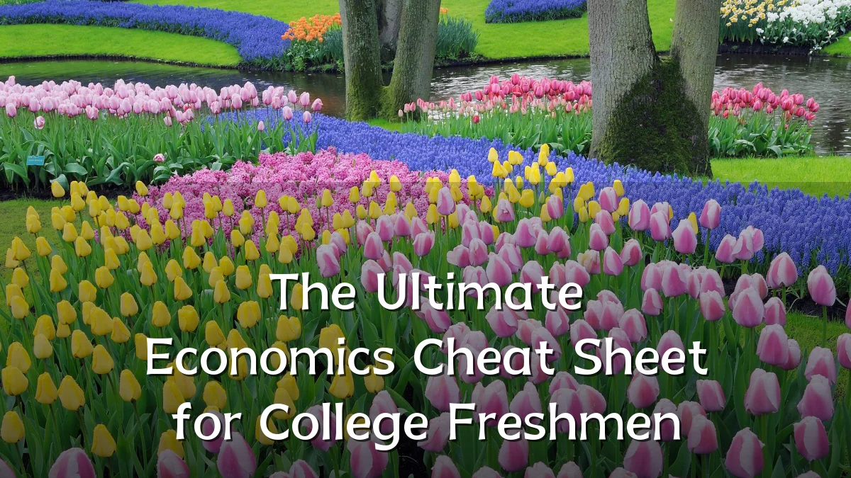 The Ultimate Economics Cheat Sheet for College Freshmen