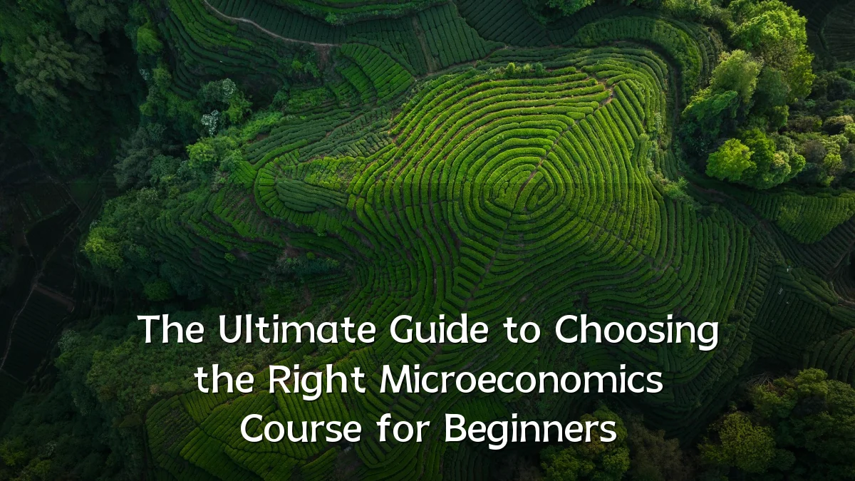 The Ultimate Guide to Choosing the Right Microeconomics Course for Beginners