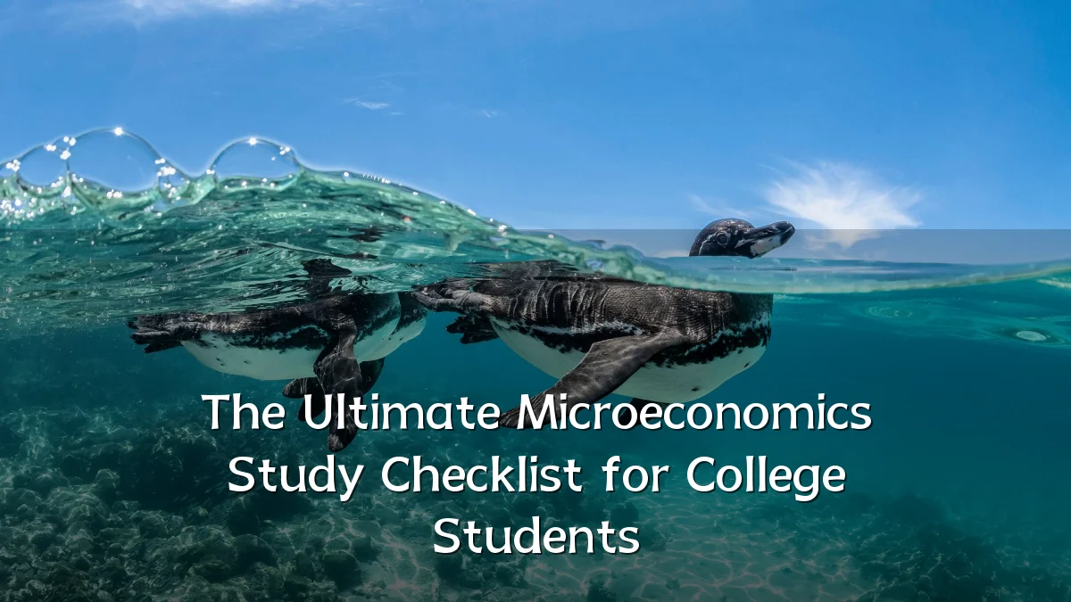 The Ultimate Microeconomics Study Checklist for College Students