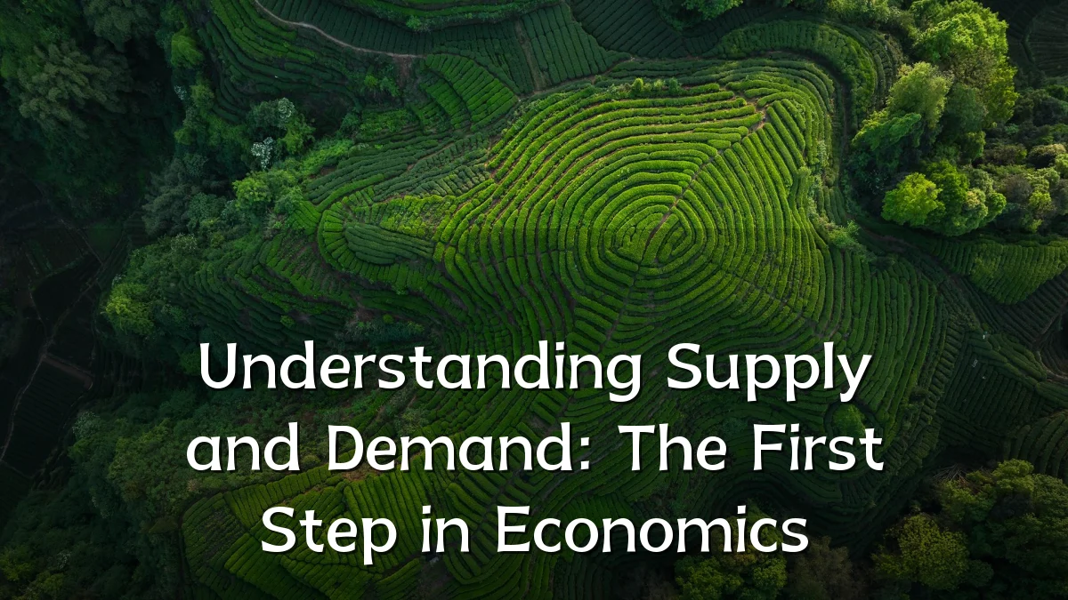 Understanding Supply and Demand: The First Step in Economics