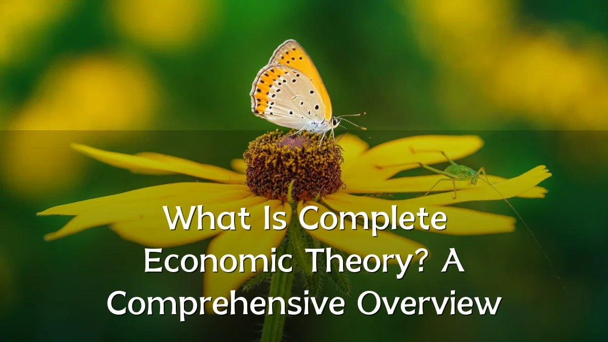 What Is Complete Economic Theory? A Comprehensive Overview