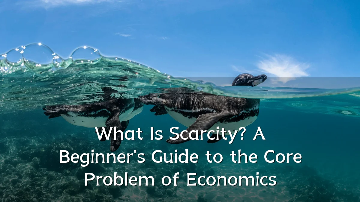 What Is Scarcity? A Beginner's Guide to the Core Problem of Economics