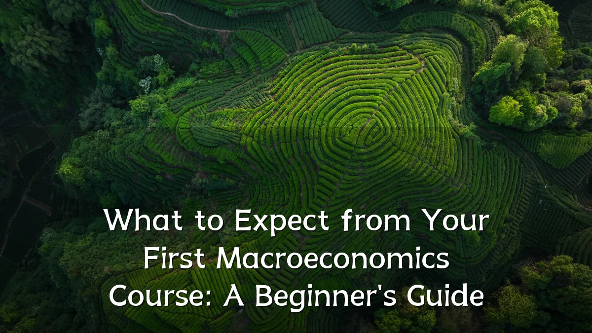 What to Expect from Your First Macroeconomics Course: A Beginner's Guide