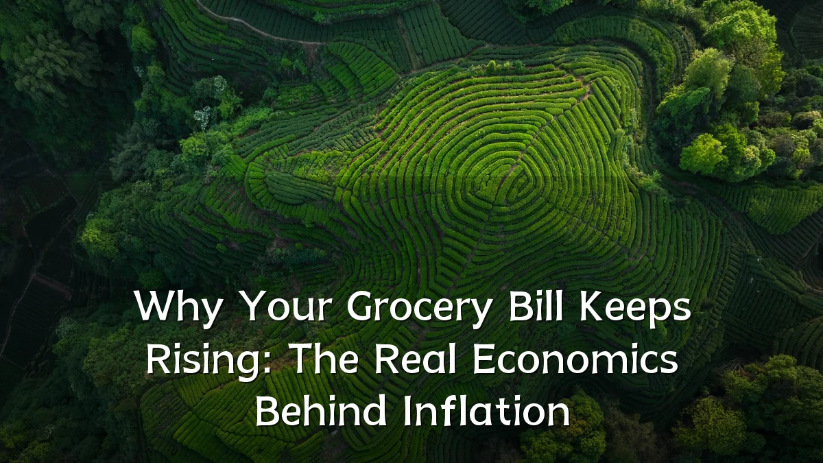 Why Your Grocery Bill Keeps Rising: The Real Economics Behind Inflation