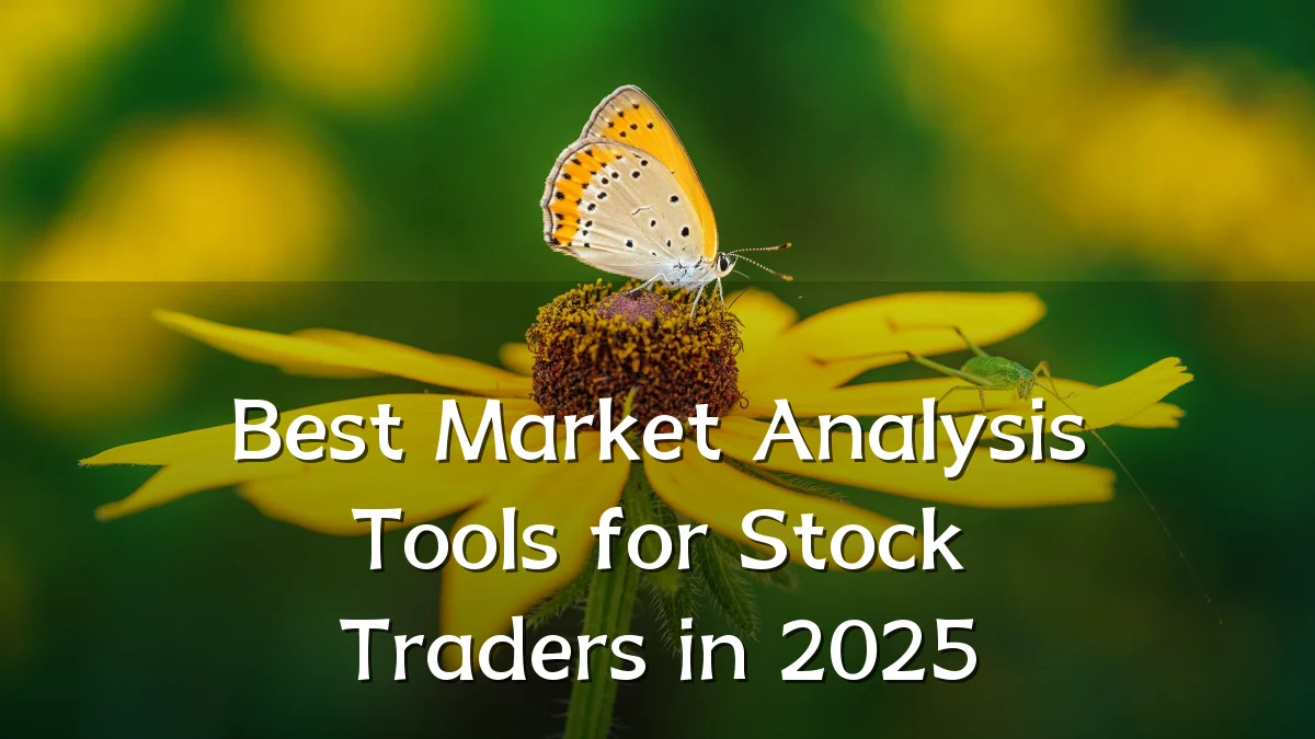 Best Market Analysis Tools for Stock Traders in 2025