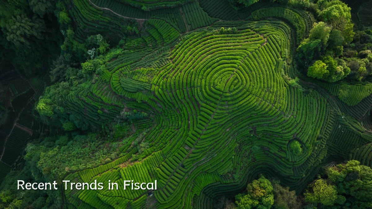 Recent Trends in Fiscal