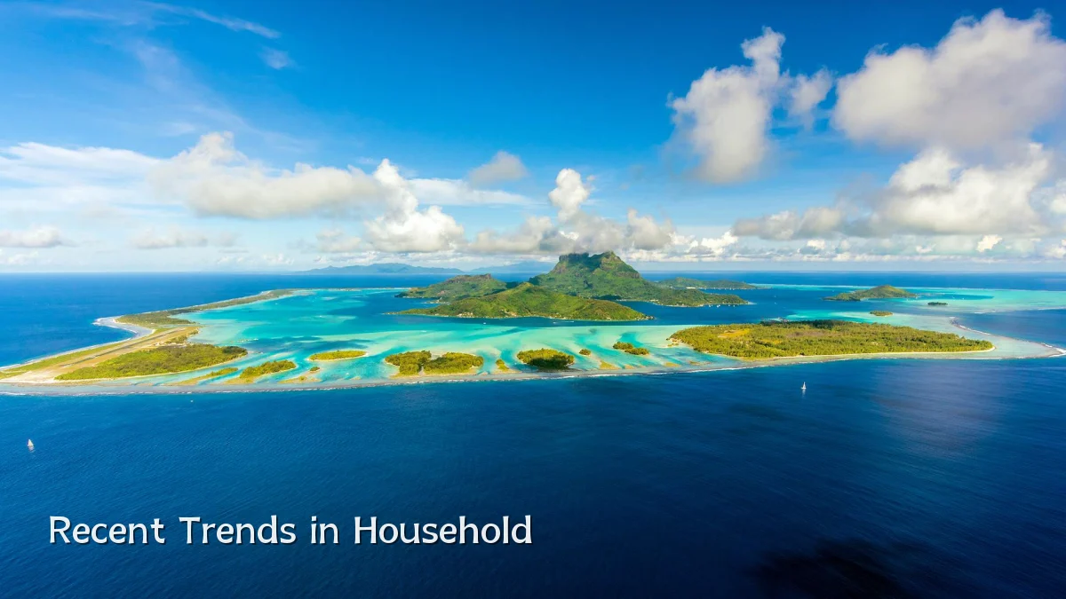 Recent Trends in Household