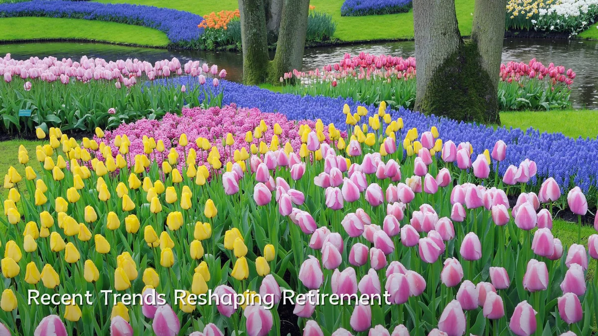 Recent Trends Reshaping Retirement