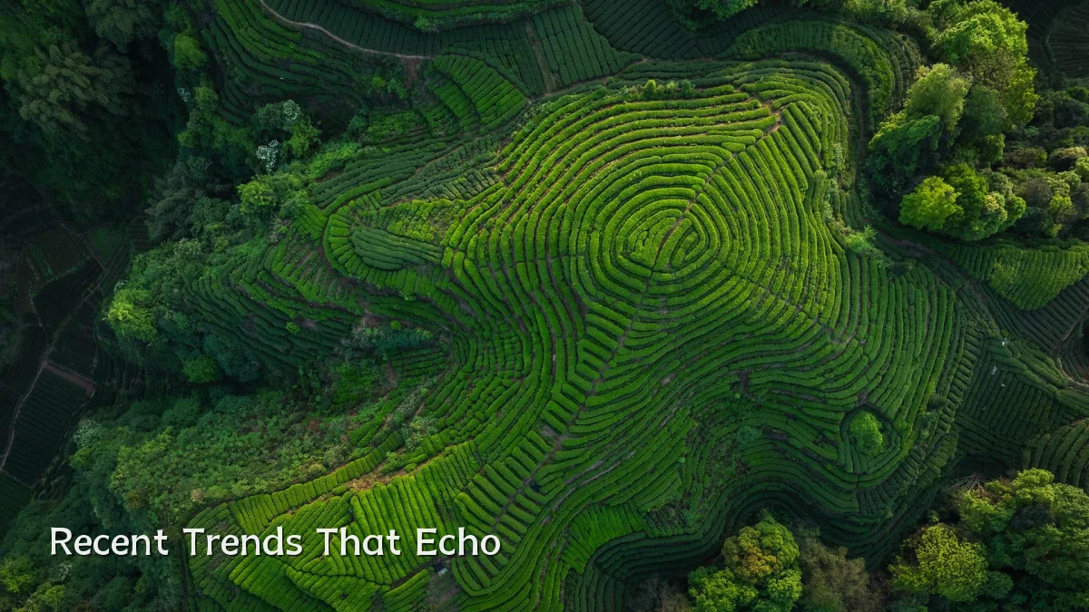 Recent Trends That Echo
