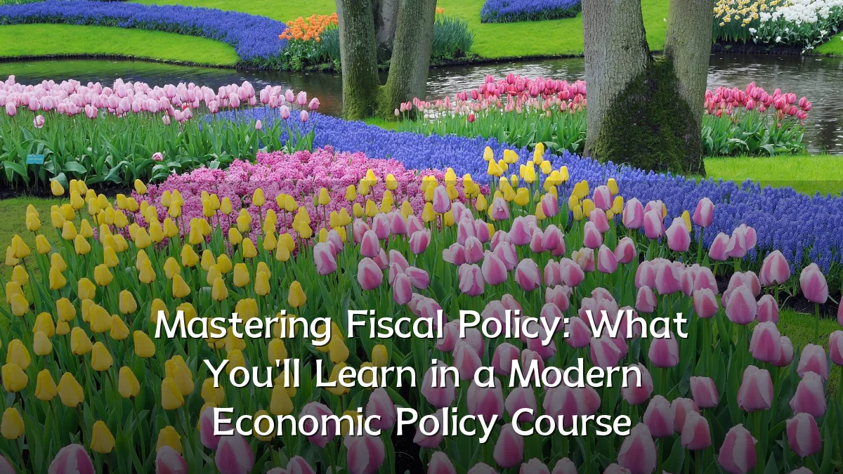 Mastering Fiscal Policy: What You'll Learn in a Modern Economic Policy Course