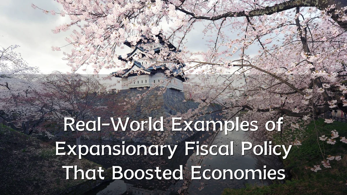 Real-World Examples of Expansionary Fiscal Policy That Boosted Economies