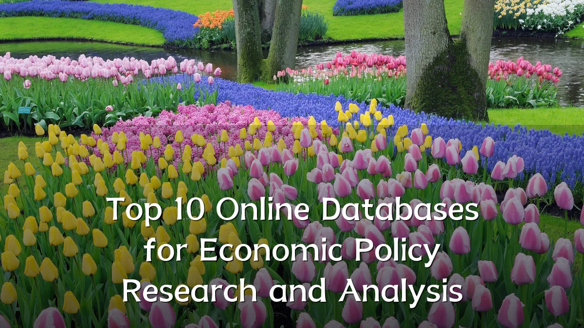 Top 10 Online Databases for Economic Policy Research and Analysis
