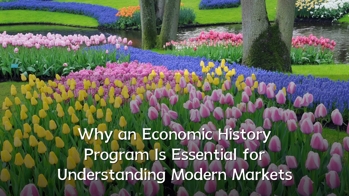Why an Economic History Program Is Essential for Understanding Modern Markets