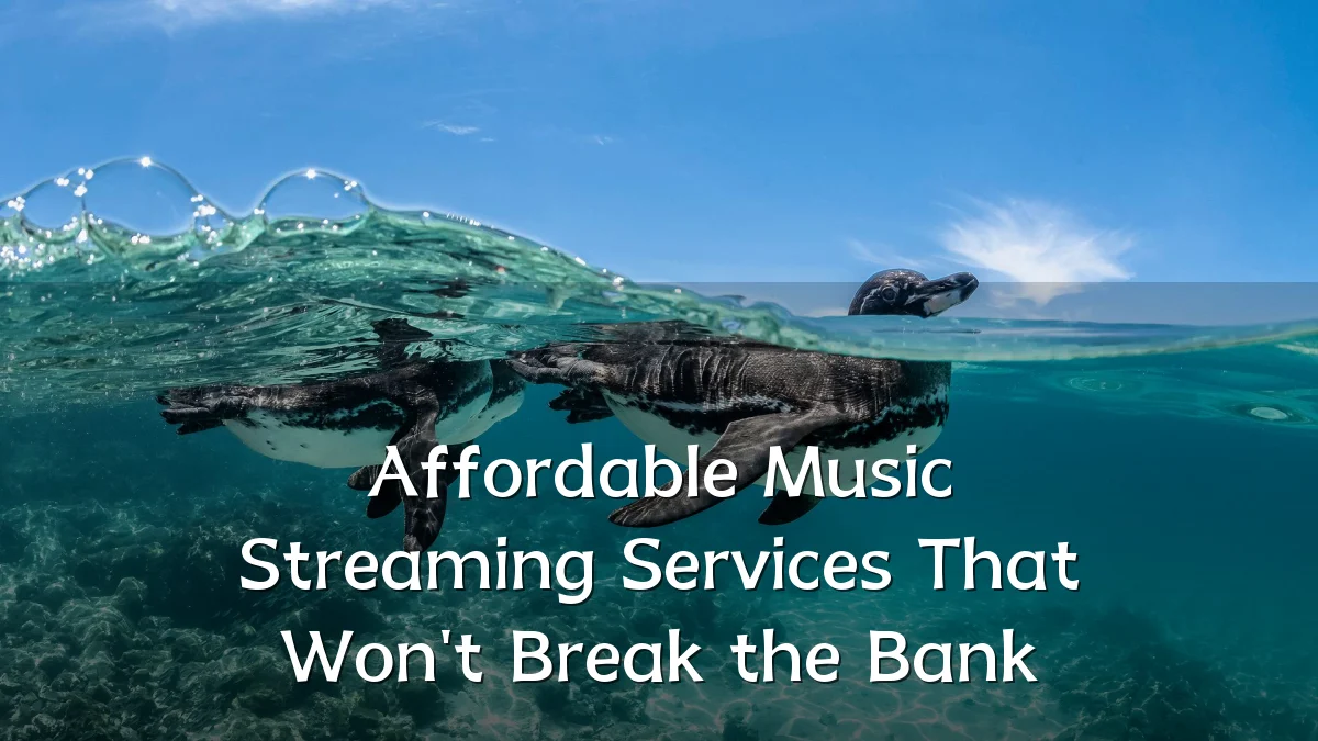 Affordable Music Streaming Services That Won't Break the Bank