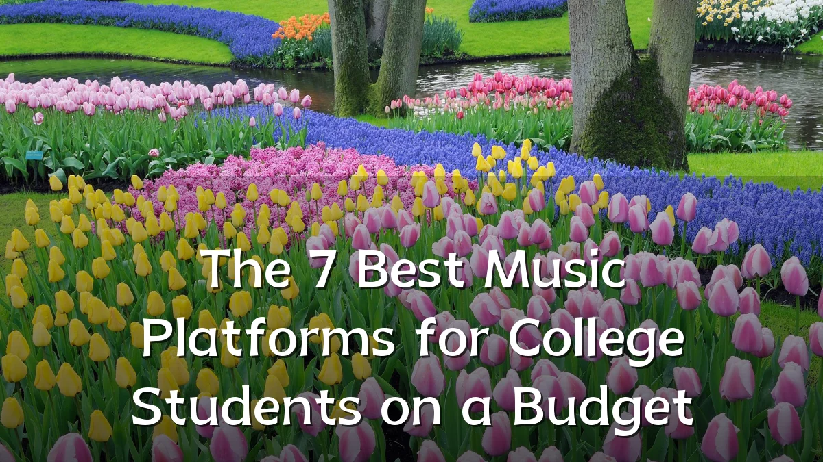 The 7 Best Music Platforms for College Students on a Budget