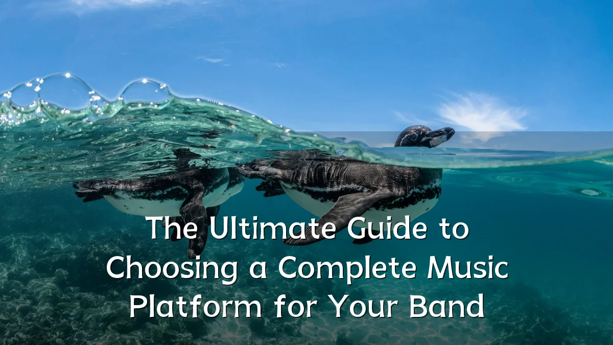 The Ultimate Guide to Choosing a Complete Music Platform for Your Band
