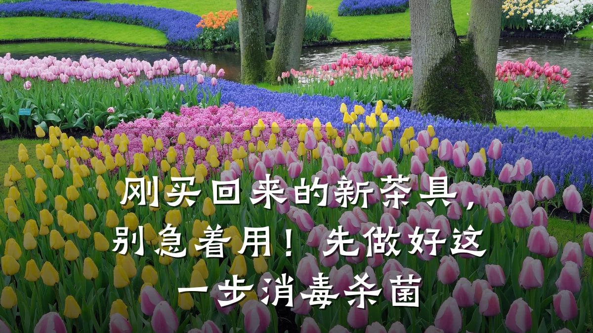 刚买回来的新茶具，别急着用！先做好这一步消毒杀菌
