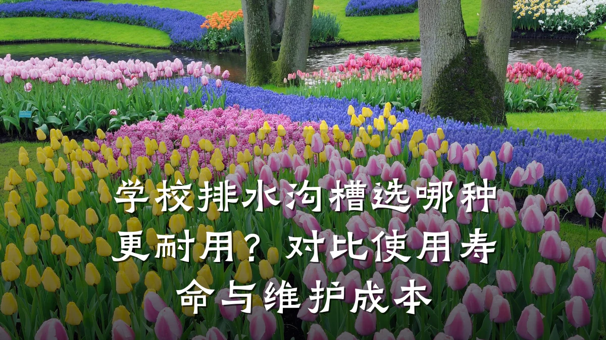 学校排水沟槽选哪种更耐用?对比使用寿命与维护成本